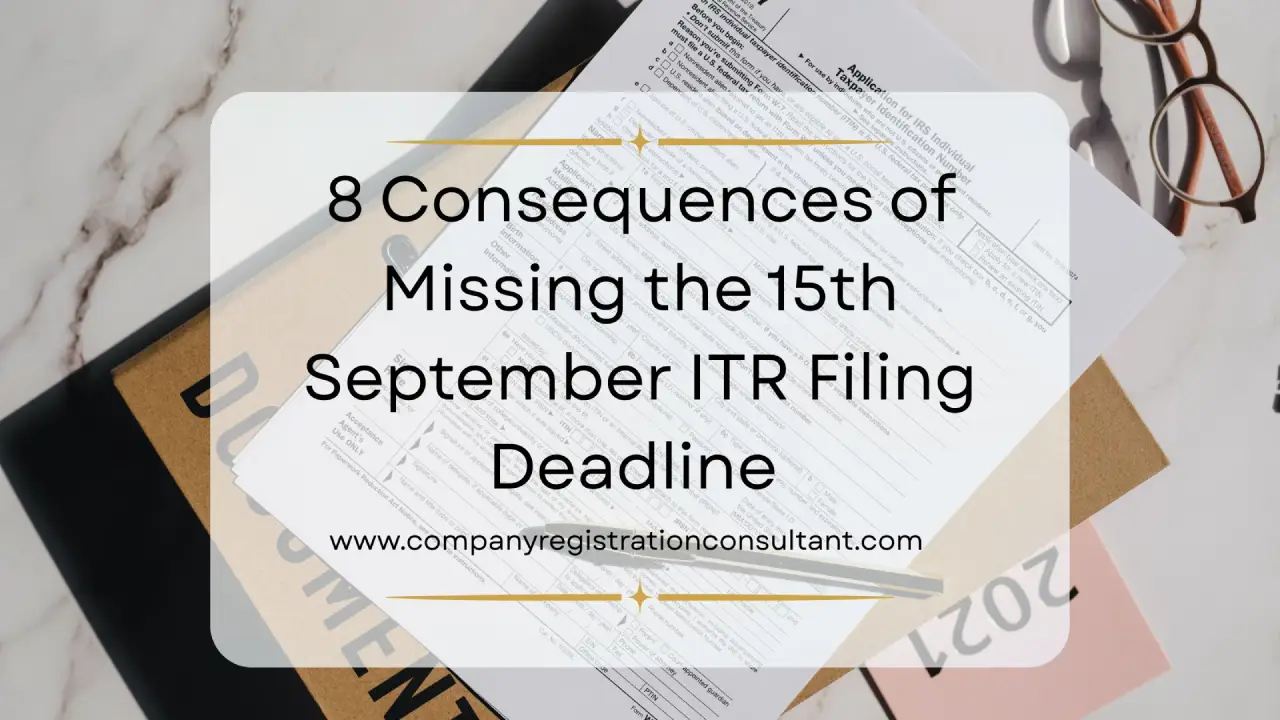 Company Registration Consultant