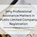 Why Professional Assistance Matters in Public Limited Company Registration